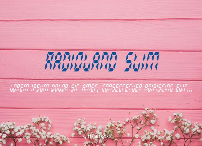 Radioland Slim example